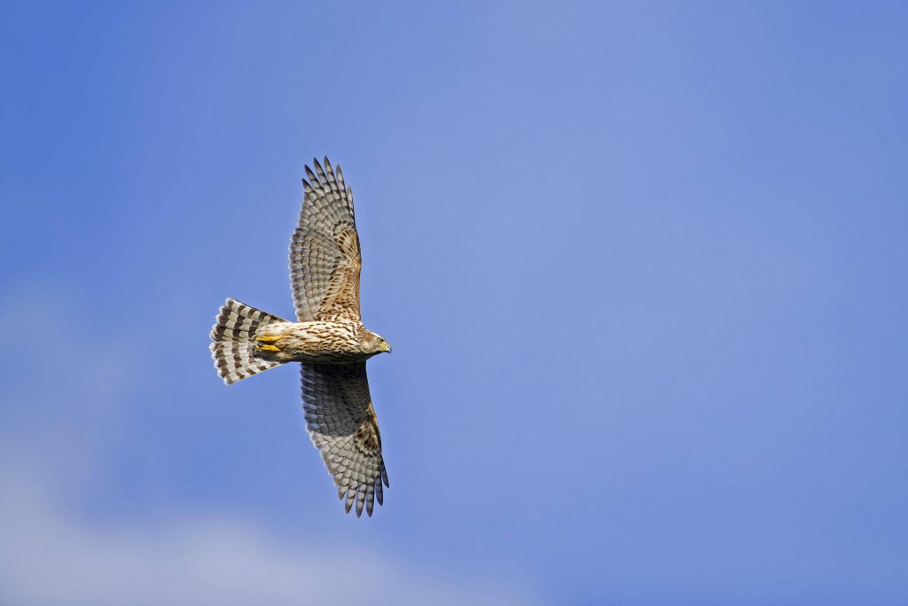 © IMAGO / imagebroker